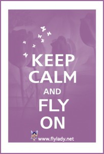 Keep Calm and FLY