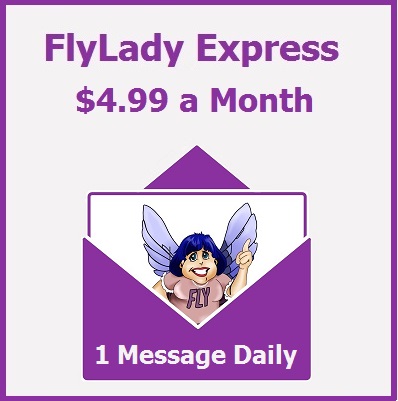 FlyLady Express15