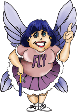 FlyLady cartoon